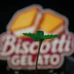 Biscotti Gelato