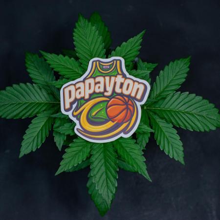 Papayton 🏀