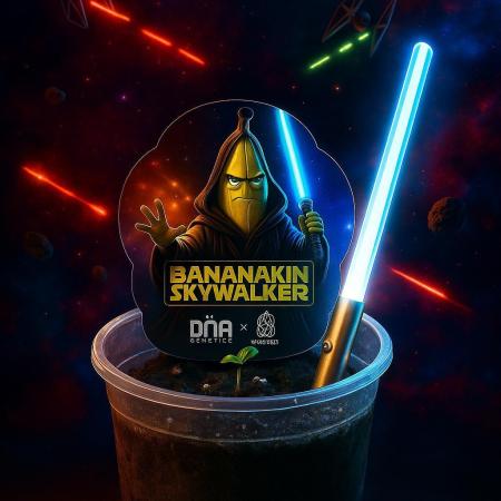 Bananakin Skywalker