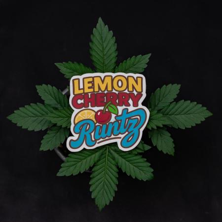 Lemon Cherry Runtz