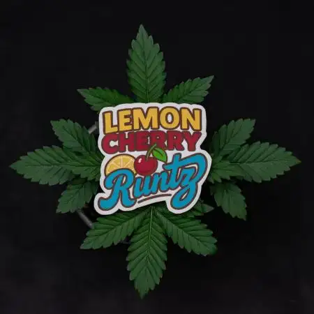 Lemon Cherry Runtz