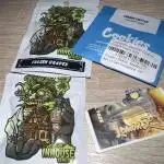 Terpfest w In-house Genetics & co