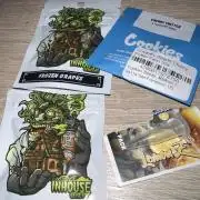 Terpfest w In-house Genetics & co