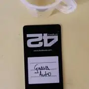 Guava Auto - Mini Grow