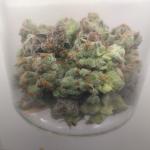 Orange Bud 2.0
