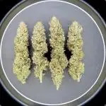 Wedding Cake 🎂