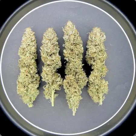 Wedding Cake 🎂
