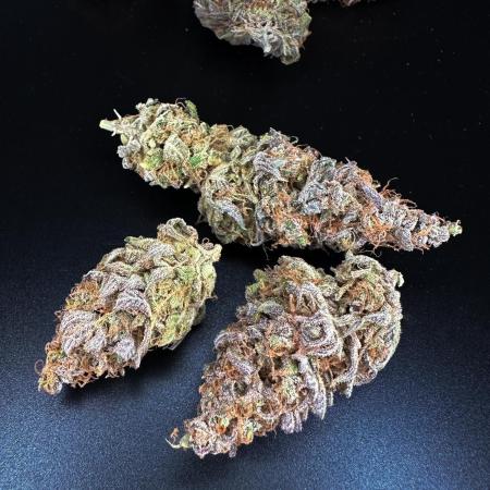 Don Carlos Bud pics
