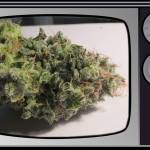 The Glueberry OG Show (DP)