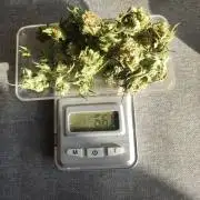 Big Devil XL Auto - Balcony '26