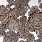Banana purple punch