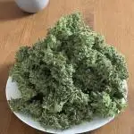 Where are my Zkittles?