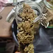Diesel CBD