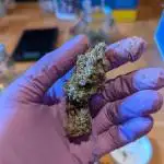 Oreoz x cookies by Mephisto 🍪