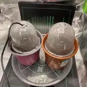 Sensi Seeds Himalayan CBD