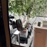 Grow Room 1