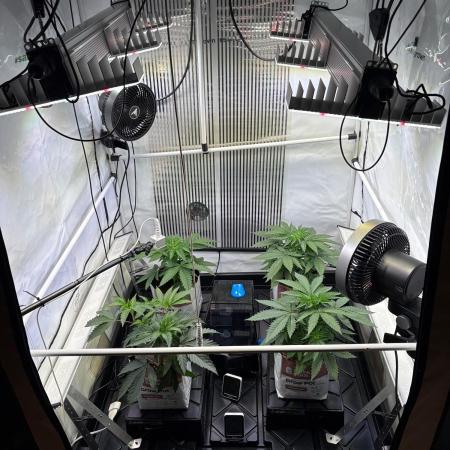 Grow Room 1