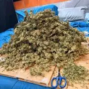 A little help for a friend