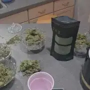 PAPAYA SHERBET