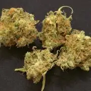 Back to Synthetic Nutrients