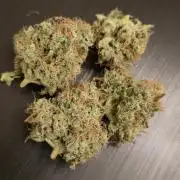 Back to Synthetic Nutrients