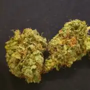 Wedding Cake, Lemon Skunk, Big Bud