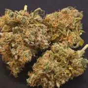 Wedding Cake, Lemon Skunk, Big Bud