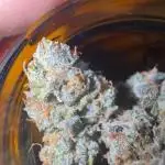 Rs11xHollywood by Cookies