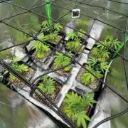 Emergen C by Seedjunky