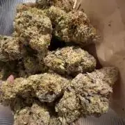 Permanent Marker by Doja x SeedJunky