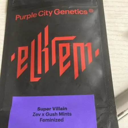 Super Villain 💜🍇💨