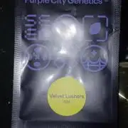 💜Velvet Lushers Living SOIL ♻️