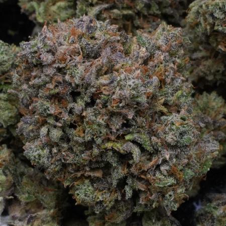 LSO Autoflowers 2.0 !