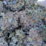 Beleaf, Ethos, Crossbone Genetics !