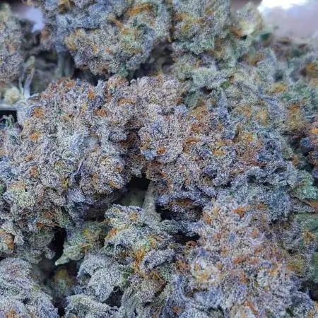 Beleaf, Ethos, Crossbone Genetics !