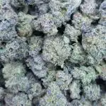 Beleaf, Ethos, Crossbone Genetics !