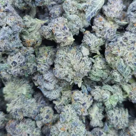 Beleaf, Ethos, Crossbone Genetics !