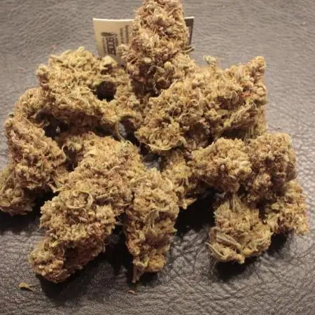 FastBuds German legal grow with 300W LED