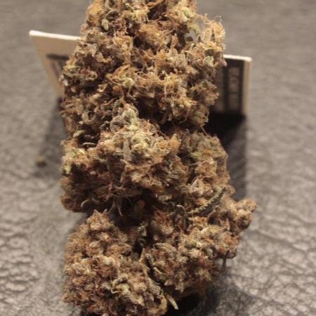 FastBuds German legal grow with 300W LED