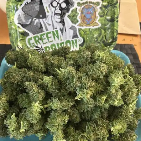 Green Poison Fast Version Outdoor