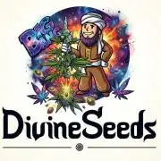 The Big Bang 💥 Divine Seeds 🇨🇦