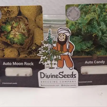 Divine Seeds GAC 🏆 - Auto Candy