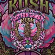 Delicious Seeds GC 26 🏆 - CCKush