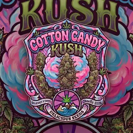Delicious Seeds GC 26 🏆 - CCKush