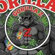 Gorilla Z Auto 🦍 🌈 Outdoor