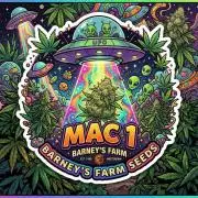 👽 🍪 MAC-1 F1 Hybrid by Barney's Farm