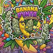 Banana Runtz 🍌🍬 F1 Hybrid by Barney's