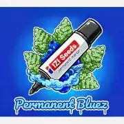 IZI Seeds GC 2025 🏆 Permanent Bluez