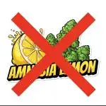 Triple 🍋 - Amnesia Lemon