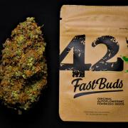 Cinderella | Fastbuds
